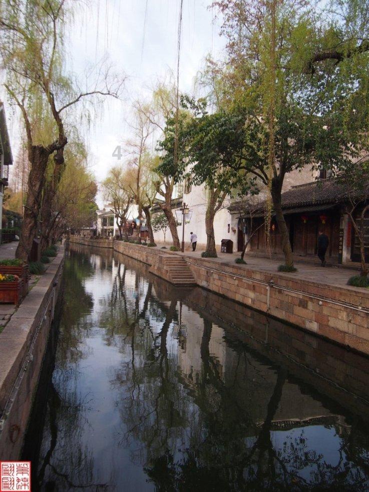 时尚小鸡救援
